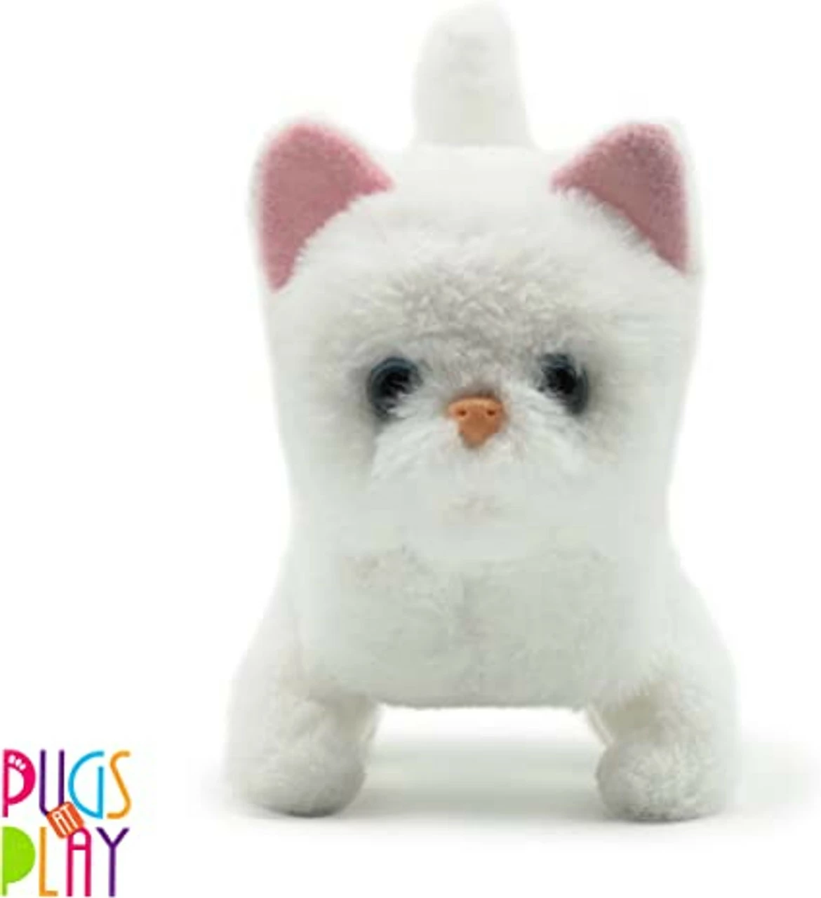 Pugs At Play Casper Walking Cat 1 Pugs At Play Casper Walking Cat