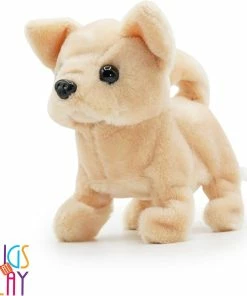 Pugs At Play Chili Walking Dog